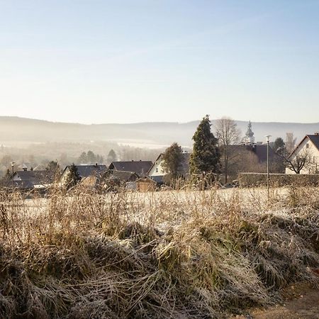 Ferienwohnung Bergaecker Neualbenreuth Dış mekan fotoğraf